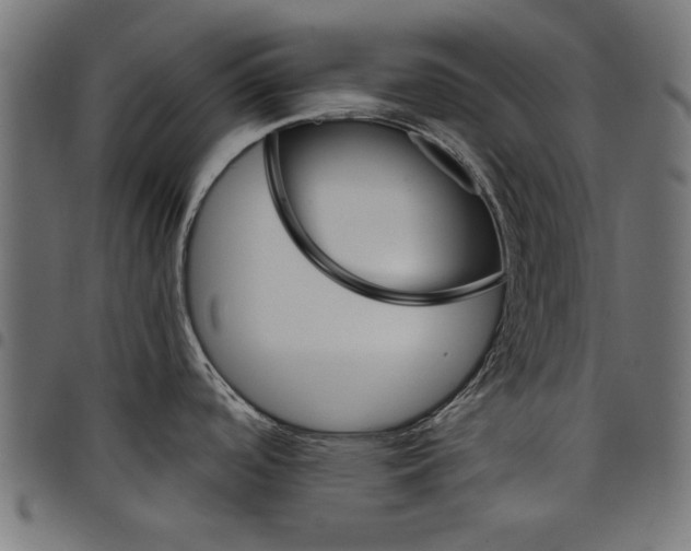 X0000097871488200803281150