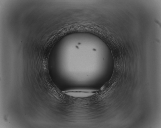 X0000097871490200803281149