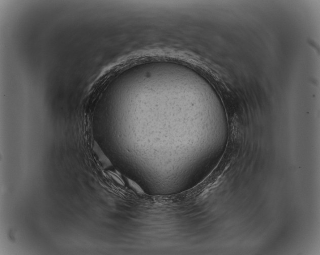 X0000097871494200803281149