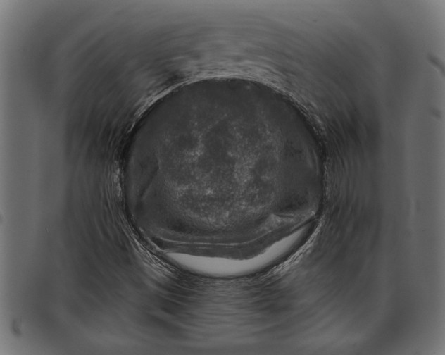 X0000097871497200803281149