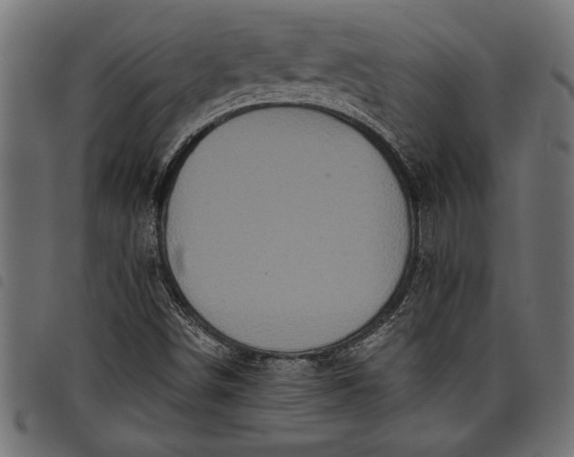 X0000097871498200803281149