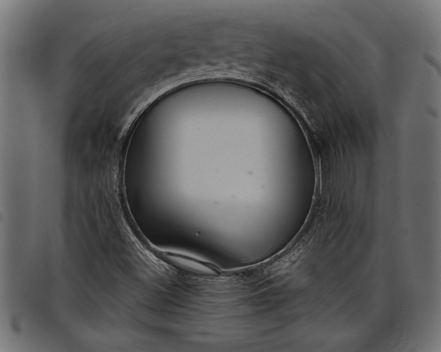 X0000097871500200803281149
