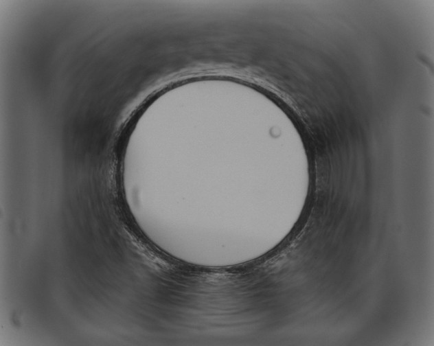 X0000097871502200803281149