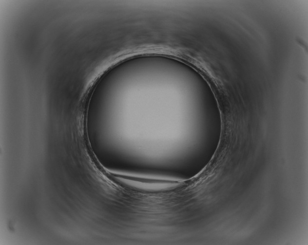 X0000097871504200803281149