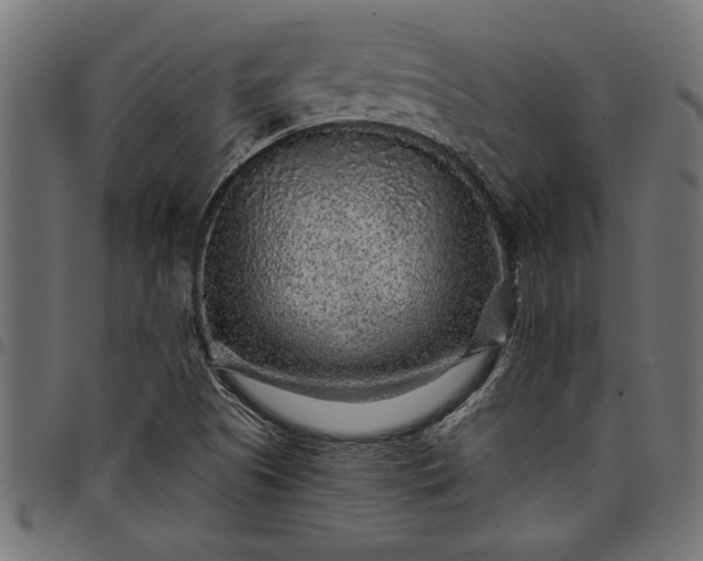 X0000097871505200803281150