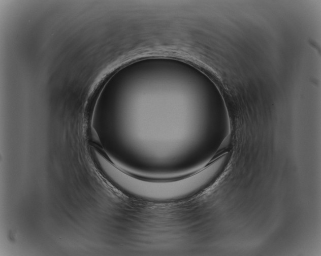 X0000097871506200803281150