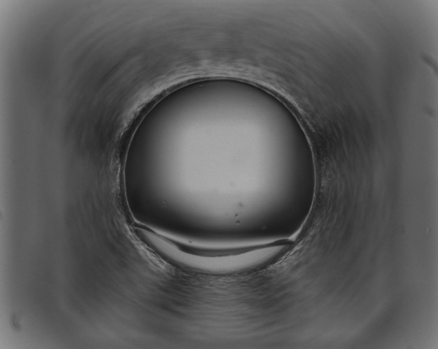 X0000097871507200803281150