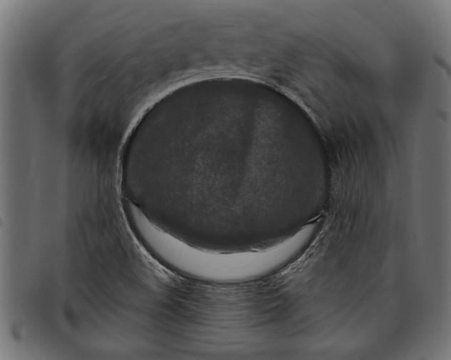 X0000097871508200803281150