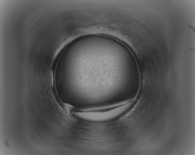 X0000097871509200803281150
