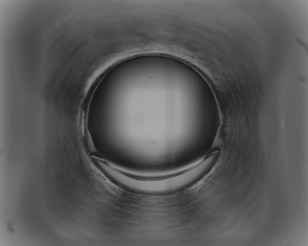X0000097871510200803281150