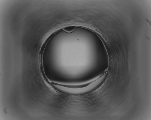 X0000097871511200803281150