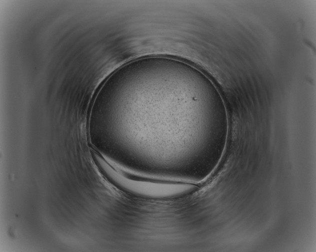 X0000097871513200803281150