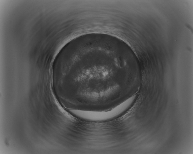 X0000097871515200803281150