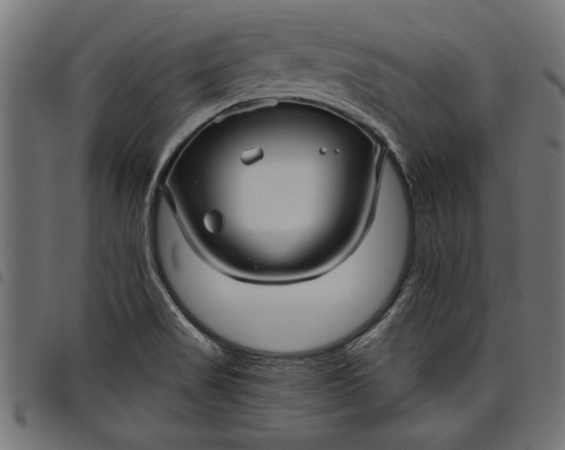 X0000097871517200803281150