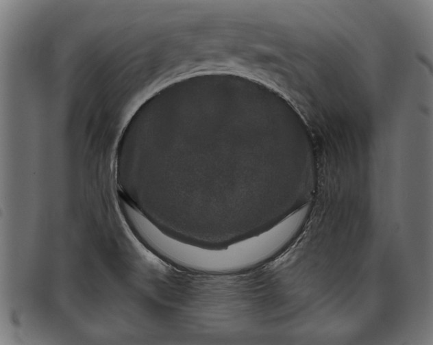 X0000097871519200803281150