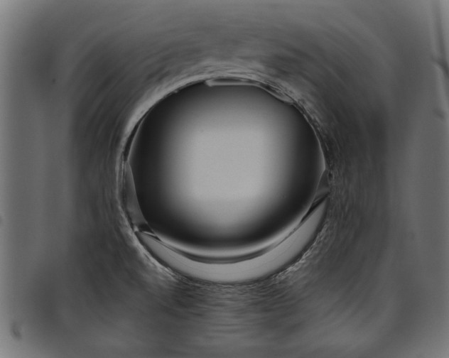 X0000097871520200803281150