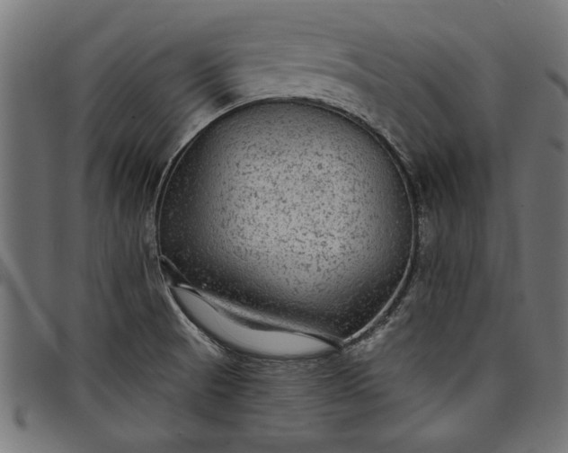 X0000097871521200803281150