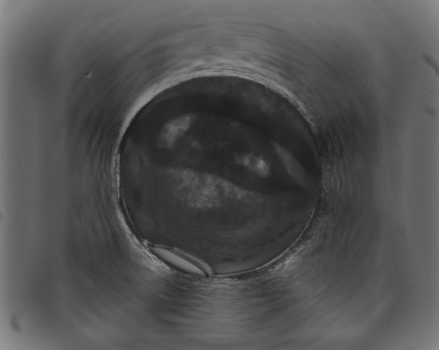X0000097871522200803281150