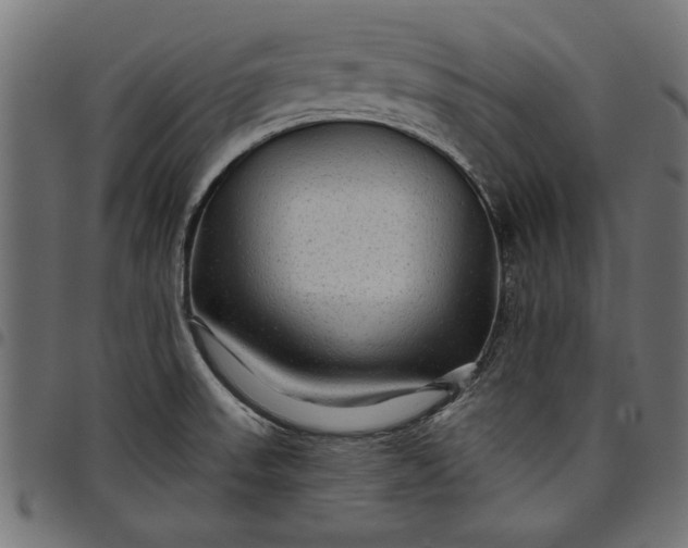 X0000097871523200803281150