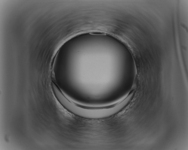 X0000097871524200803281150