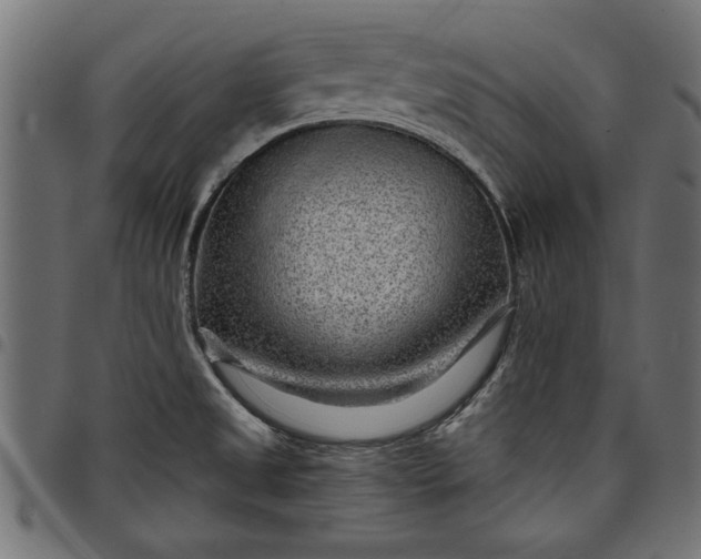 X0000097871525200803281150