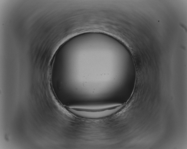X0000097871526200803281150