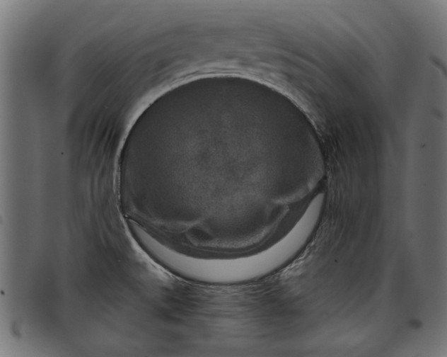 X0000097871527200803281150