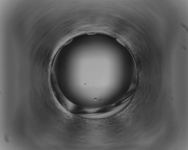 X0000097871528200803281150