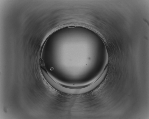 X0000097871530200803281150