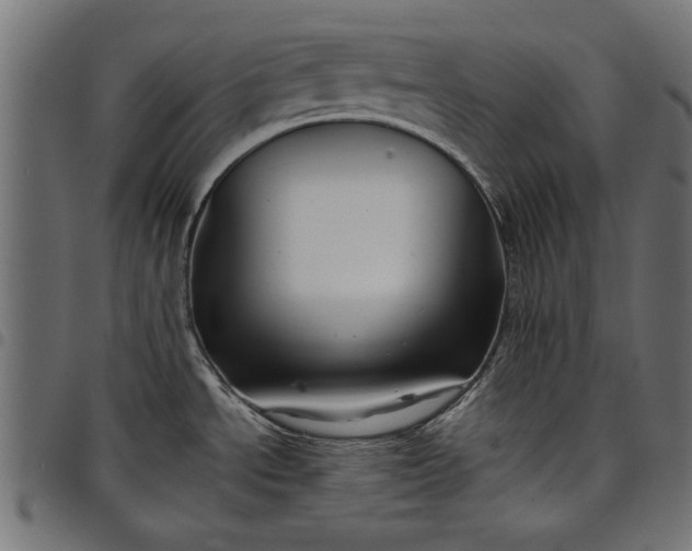X0000097871534200803281150