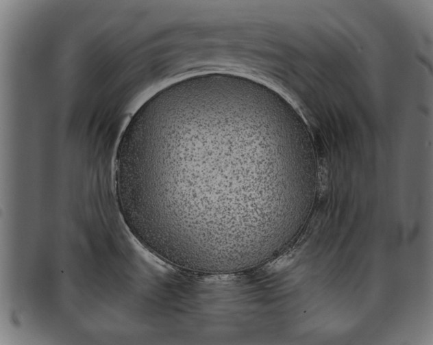 X0000097871535200803281150