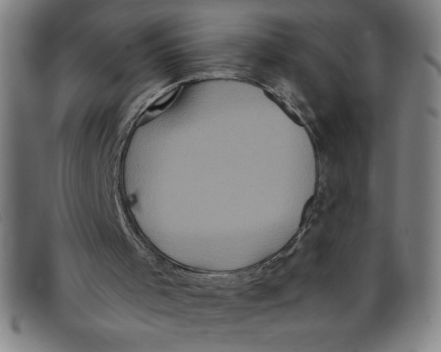 X0000097870001200804041601
