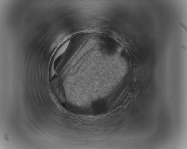 X0000097870002200804041601