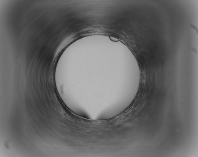 X0000097870004200804041601