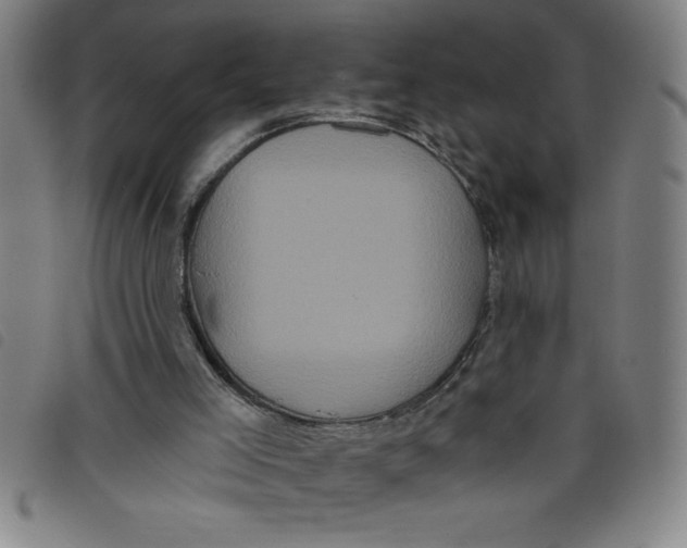 X0000097870005200804041601