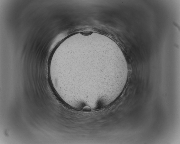 X0000097870006200804041601