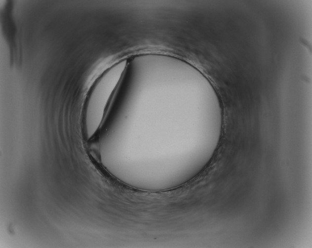 X0000097870007200804041601