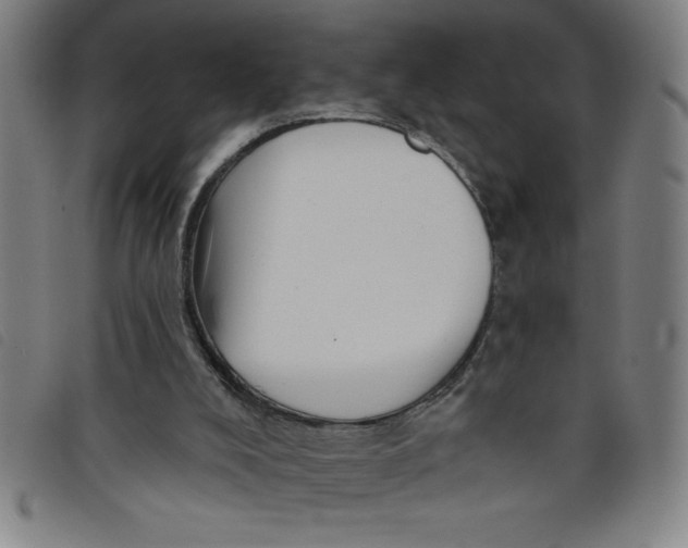X0000097870008200804041601