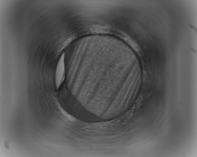 X0000097870009200804041601
