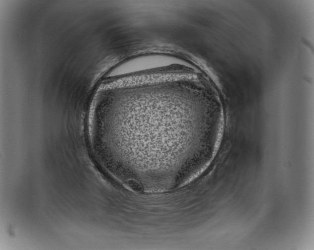 X0000097870010200804041601