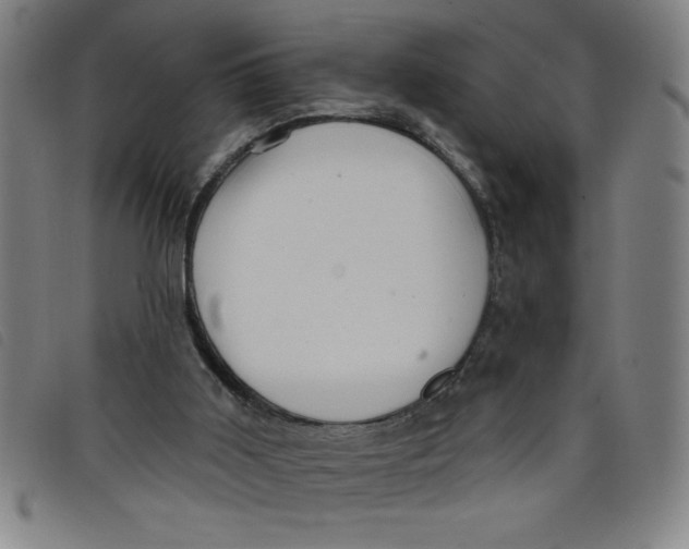 X0000097870011200804041601
