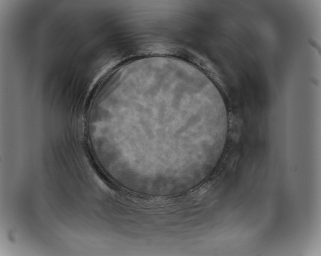 X0000097870012200804041601