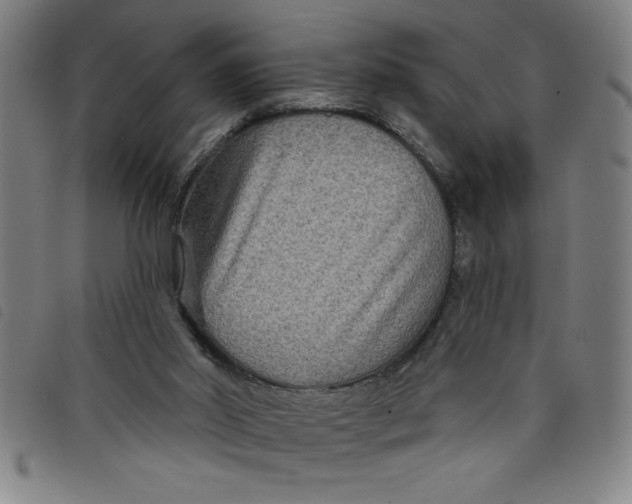 X0000097870014200804041601