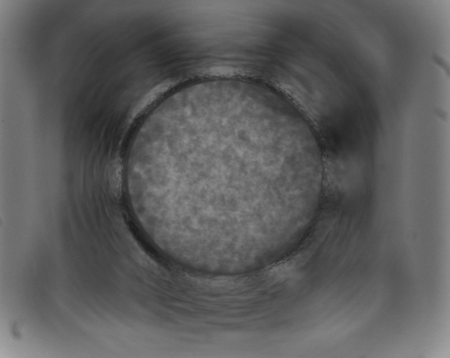 X0000097870016200804041601