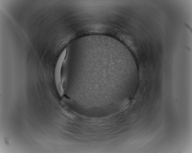 X0000097870017200804041601