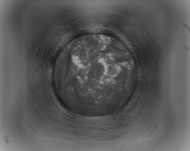 X0000097870018200804041601
