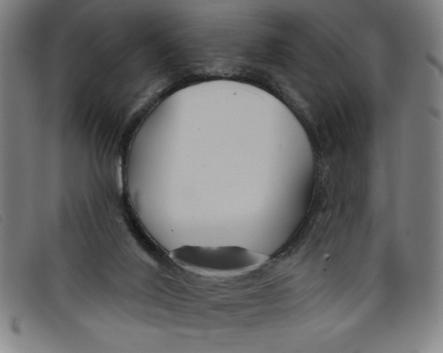 X0000097870020200804041601