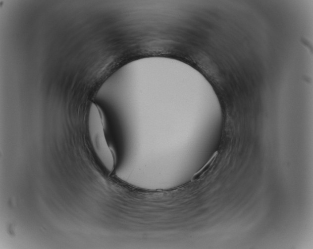 X0000097870021200804041601
