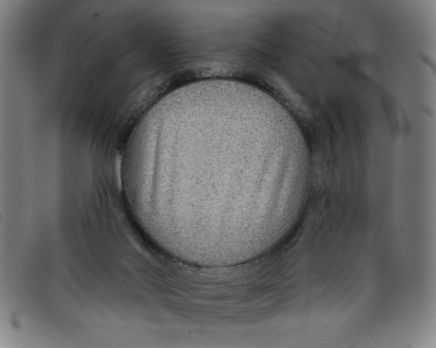X0000097870022200804041601
