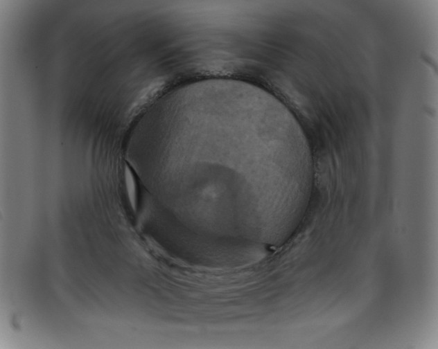 X0000097870023200804041601